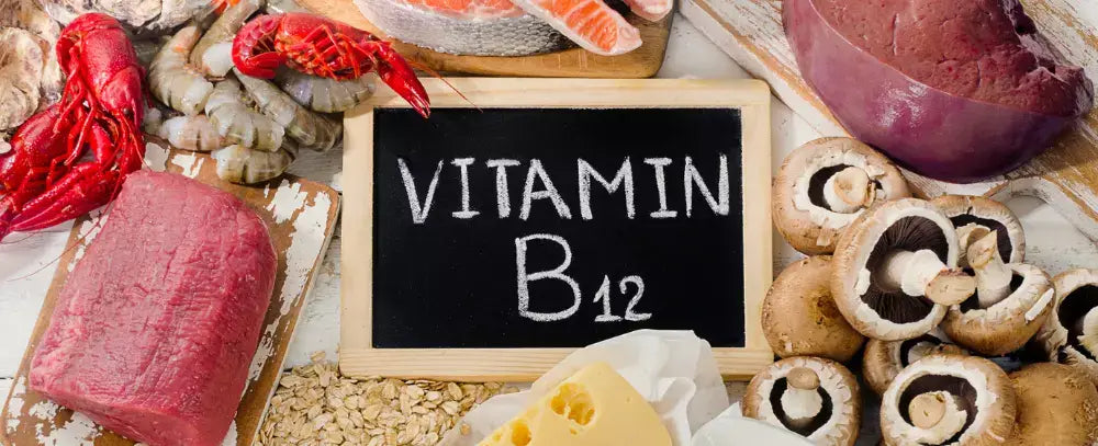 Natural sources of Vitamin B12 (Cobalamin). Healthy diet eating. Top view