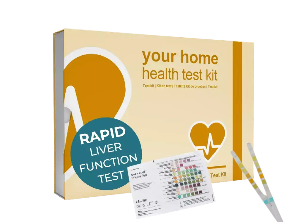 Liver Function Test