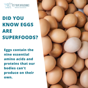 Did You Know eggs are superfoods?