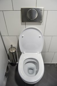 toilet urine test
