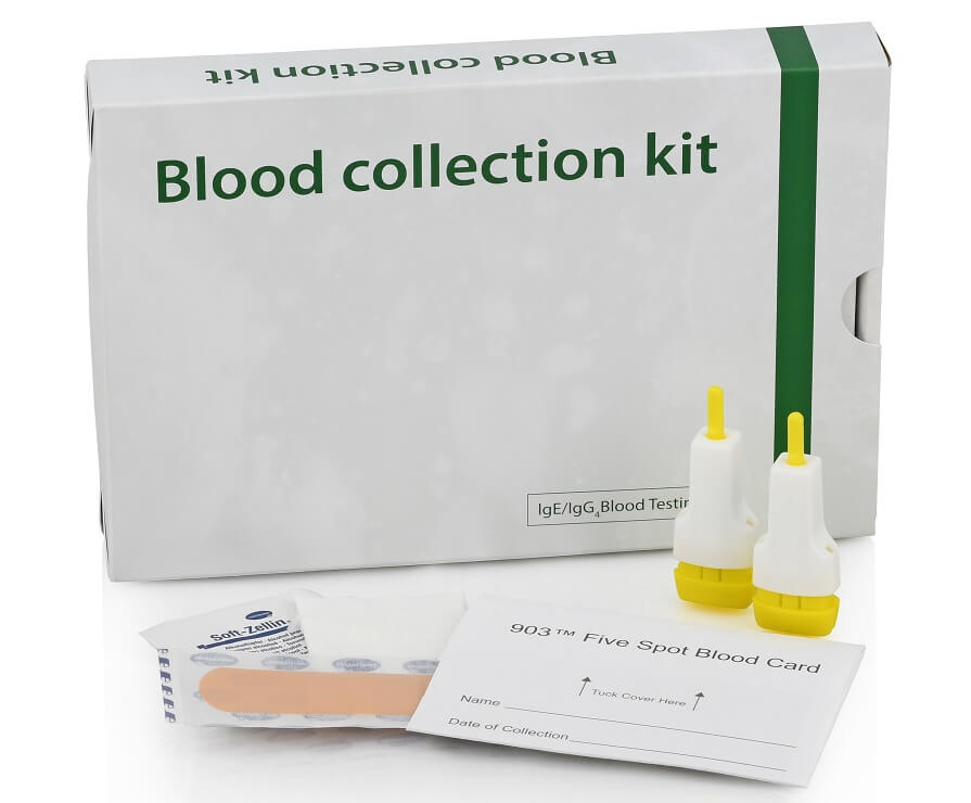 Blood test kit