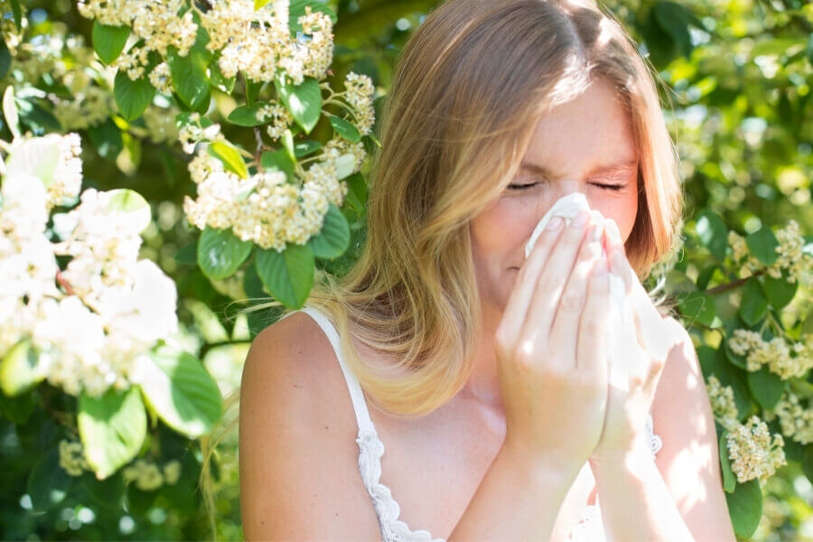 hay-fever-image