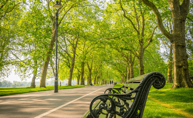 A park bench in Hyde park, London