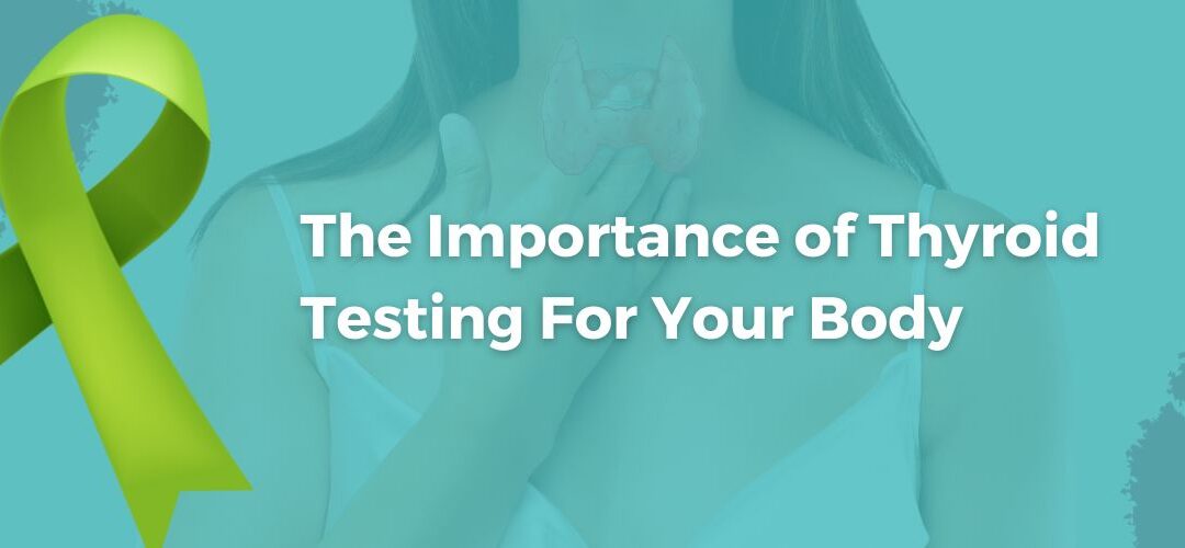 The Importance of Thyroid Testing For Your Body