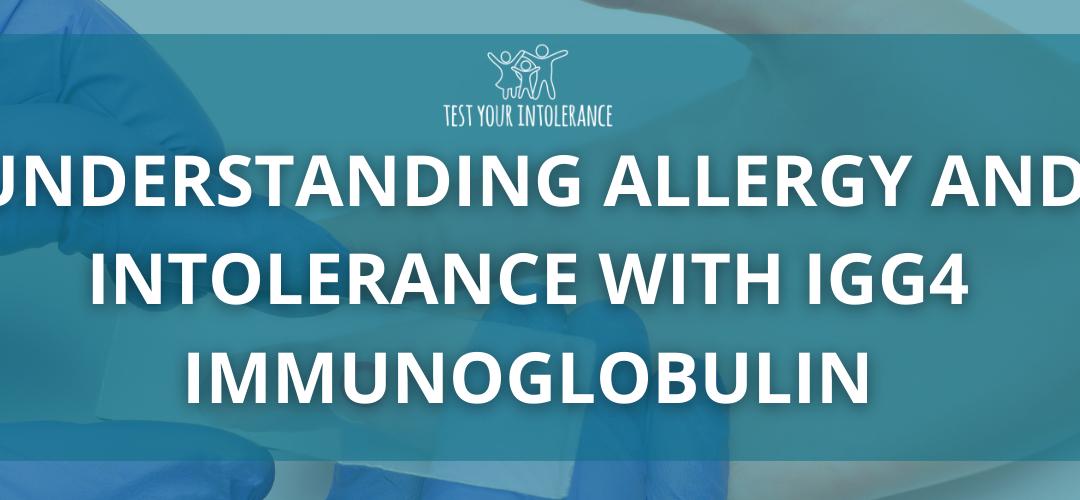 Understanding Allergy and Intolerance with IgG4 Immunoglobulin