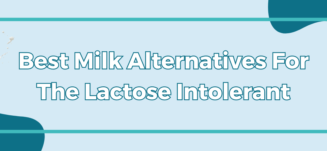 Best Milk Alternatives For The Lactose Intolerant