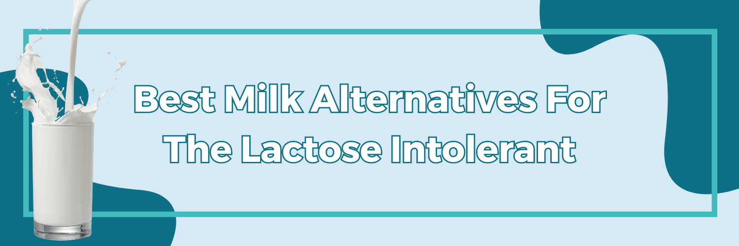 Best Milk Alternatives For The Lactose Intolerant